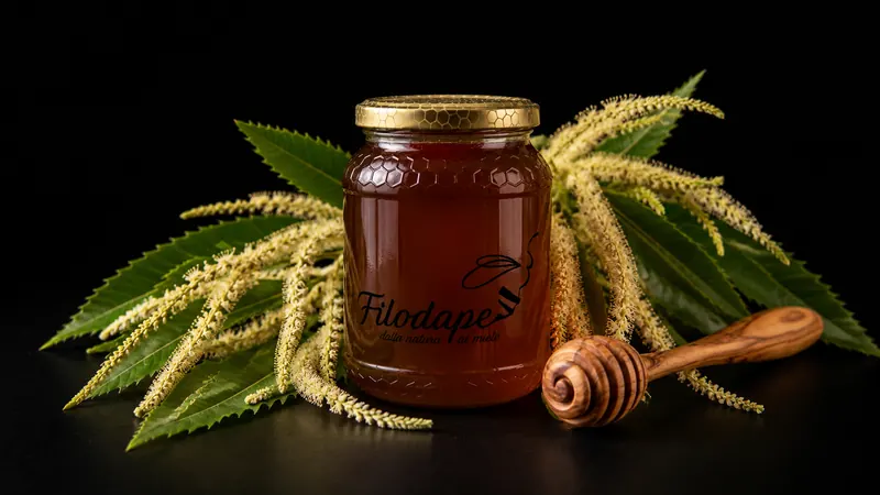 Vasetto di miele friulano di castagno Filodape con fiori di castagno